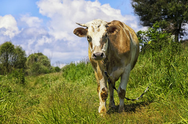 Similar image 7510076