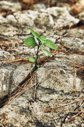 Similar image 7510388