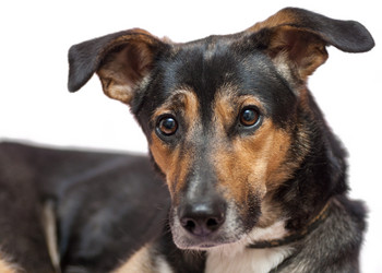 Similar image 7510431