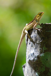 Similar image 7510499