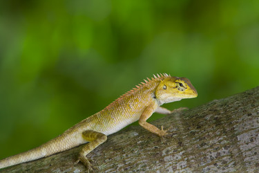 Similar image 7510500