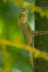 Similar image 7510501