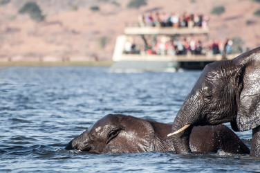 Similar image 7510792