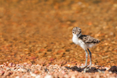 Similar image 7510799