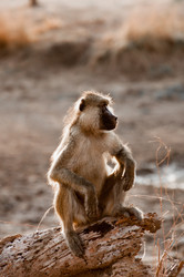 Similar image 7510805