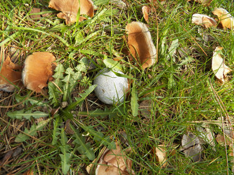 Similar image 7511101