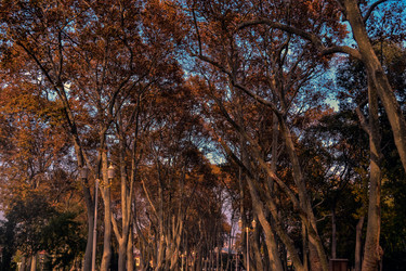 Similar image 7511252