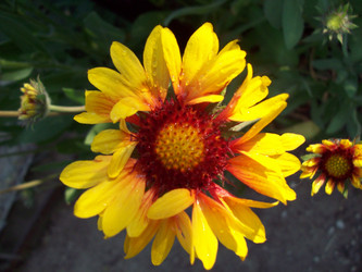 Similar image 7511253