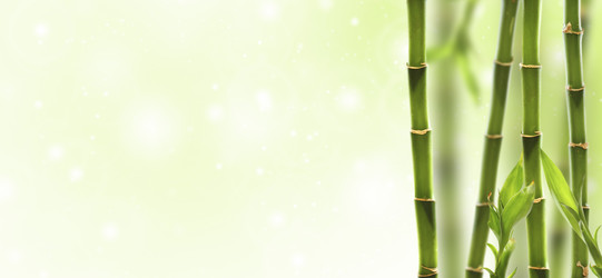 Similar image 7511261