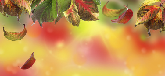 Similar image 7511262