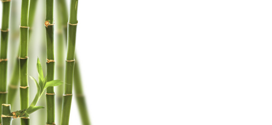 Similar image 7511267