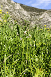 Similar image 7511274