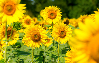 Similar image 7511279