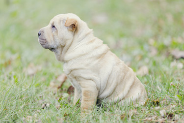 Similar image 7511339