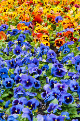 Similar image 7511397