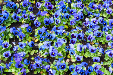 Similar image 7511399