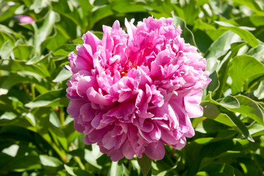 Similar image 7511405