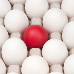 Similar image 7511415