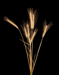 Similar image 7511423