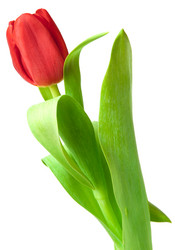 Similar image 7511427