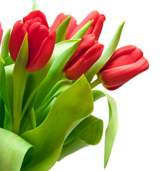 Similar image 7511431