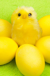 Similar image 7511432