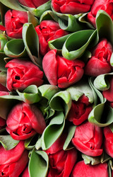 Similar image 7511438