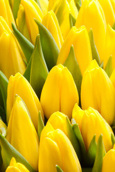 Similar image 7511440