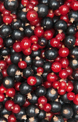 Similar image 7511442