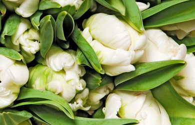 Similar image 7511445