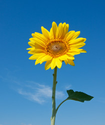 Similar image 7511446