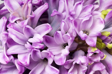 Similar image 7511450