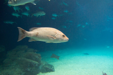 Similar image 7511460