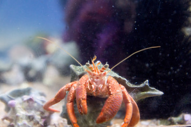 Similar image 7511461