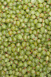 Similar image 7511462