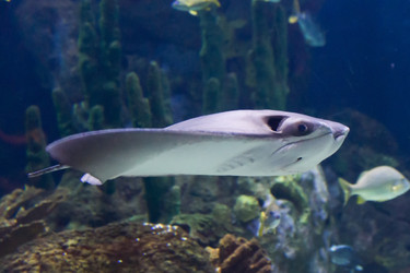 Similar image 7511465