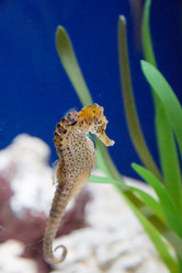 Similar image 7511468