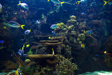 Similar image 7511473