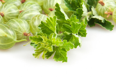 Similar image 7511474