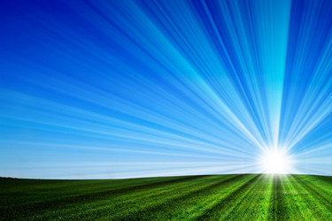 Similar image 7511475