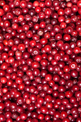 Similar image 7511498