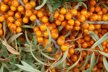 Similar image 7511504