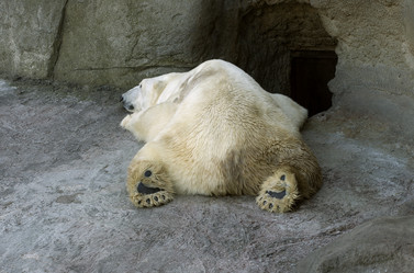 Similar image 7511517