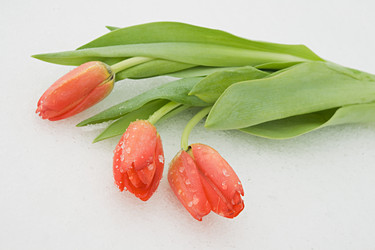 Similar image 7511629