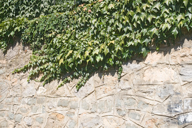 Similar image 7511654