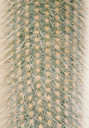 Similar image 7511667