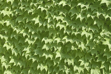 Similar image 7511672