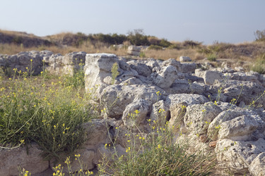 Similar image 7511673