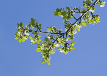 Similar image 7511717