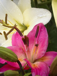 Similar image 7511982